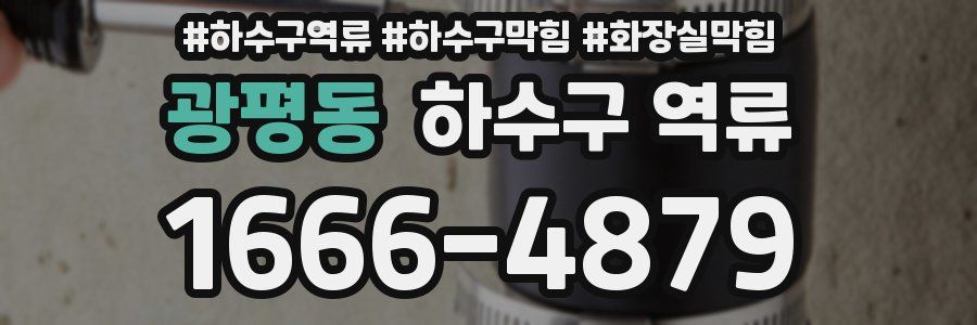 광평동 하수구 역류