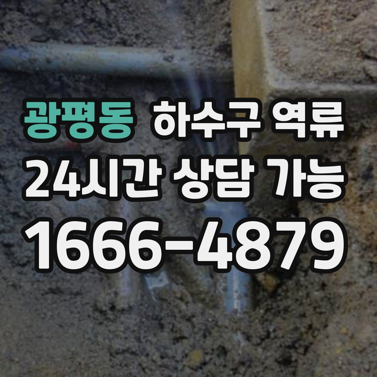 광평동 하수구 역류