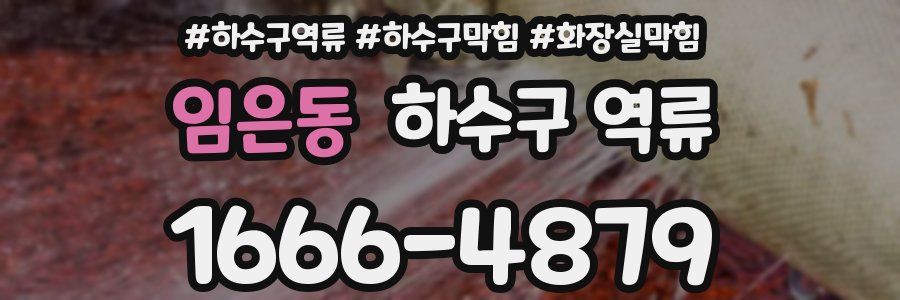 임은동 하수구 역류