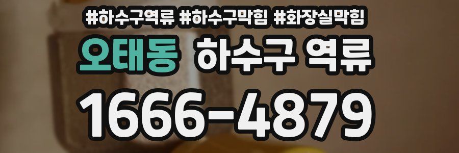 오태동 하수구 역류