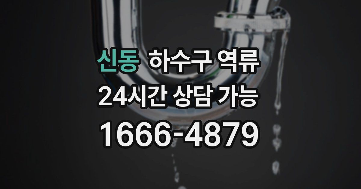 신동 하수구 역류