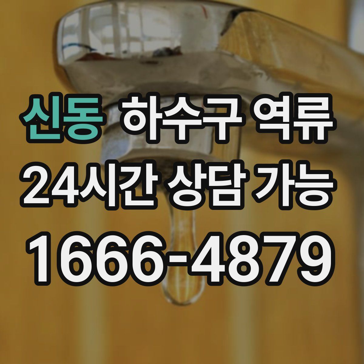 신동 하수구 역류