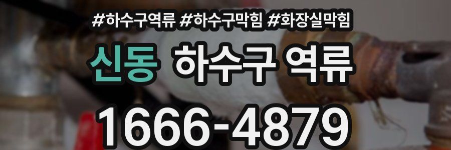 신동 하수구 역류