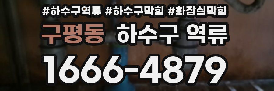 구평동 하수구 역류