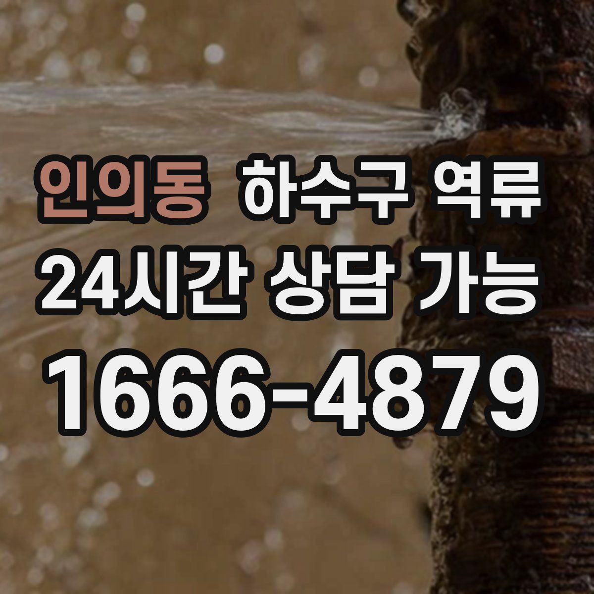 인의동 하수구 역류