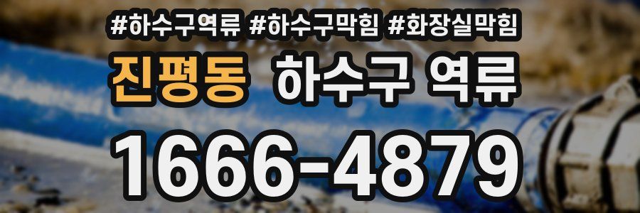 진평동 하수구 역류