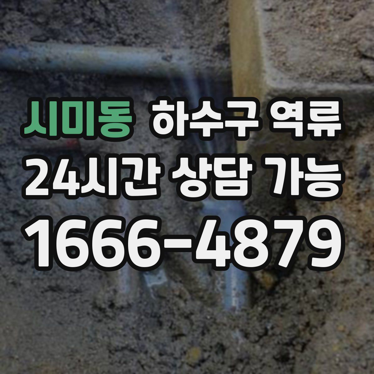 시미동 하수구 역류