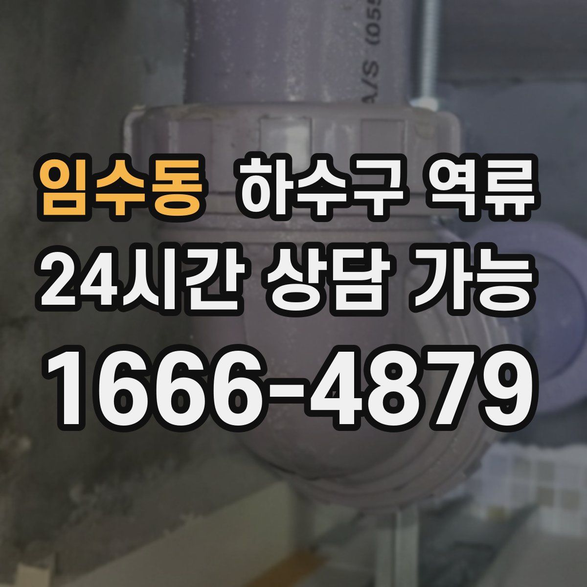 임수동 하수구 역류