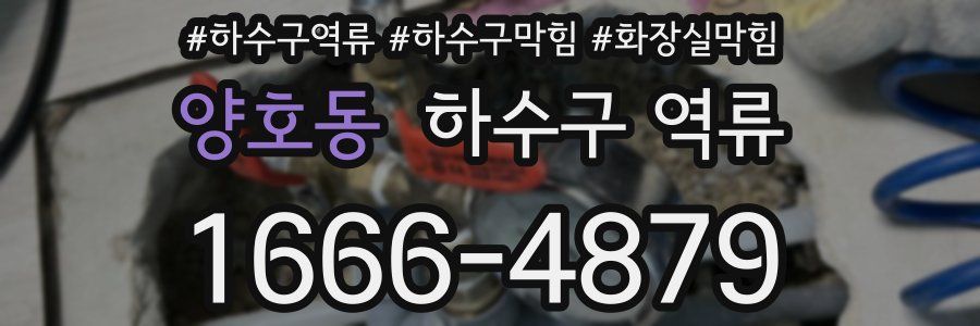 양호동 하수구 역류