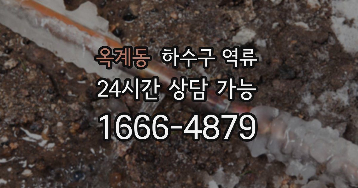 옥계동 하수구 역류