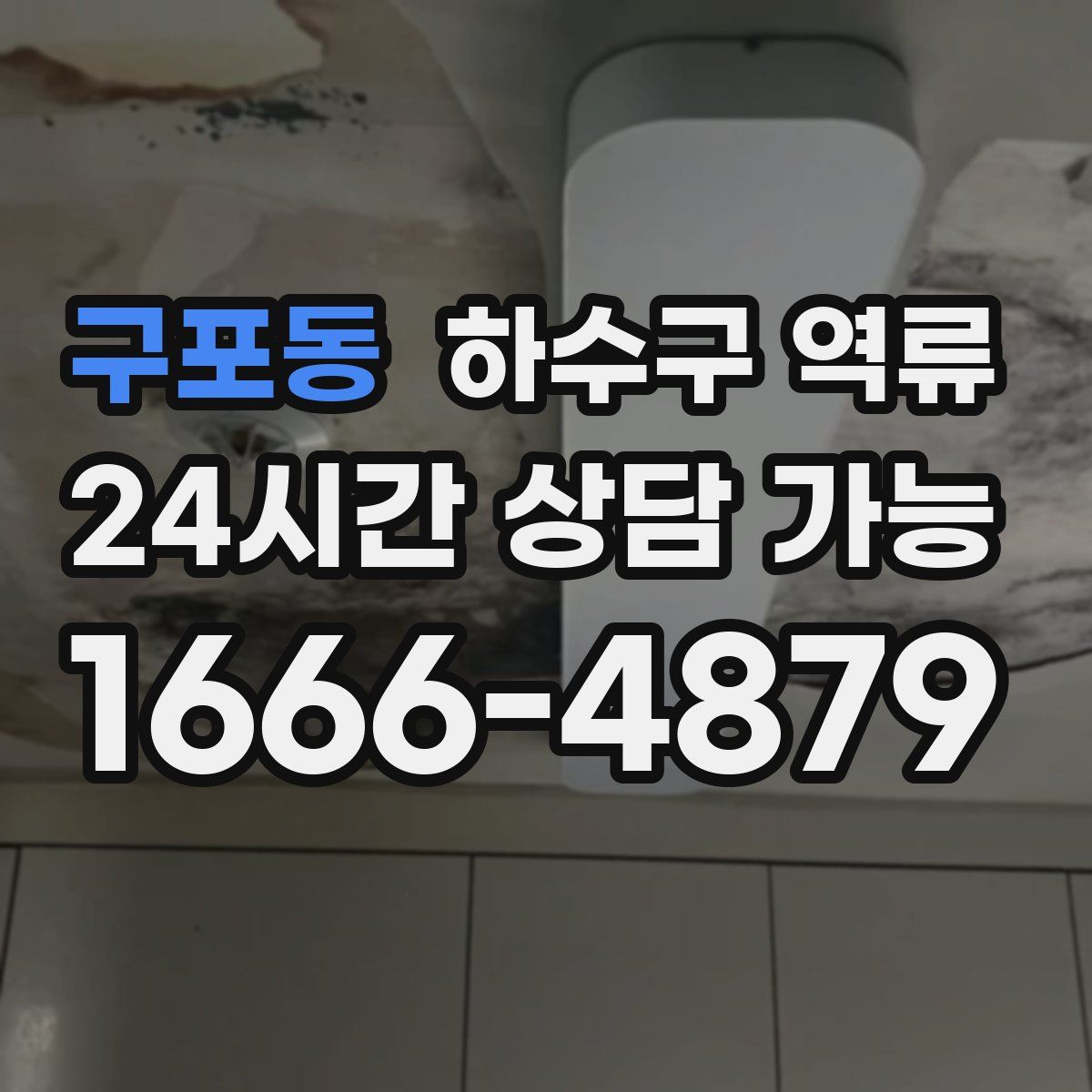 구포동 하수구 역류