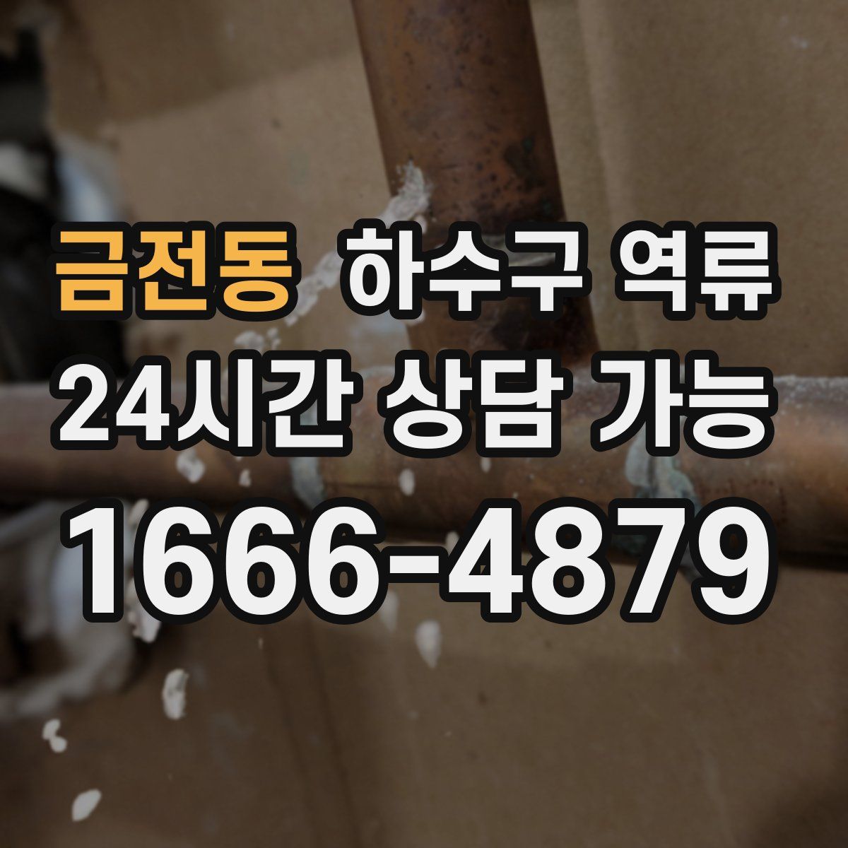 금전동 하수구 역류