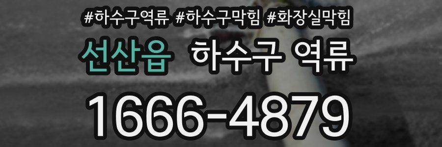 선산읍 하수구 역류