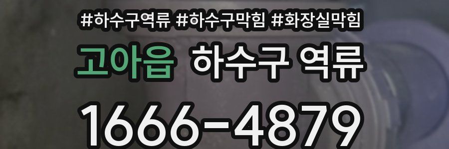 고아읍 하수구 역류
