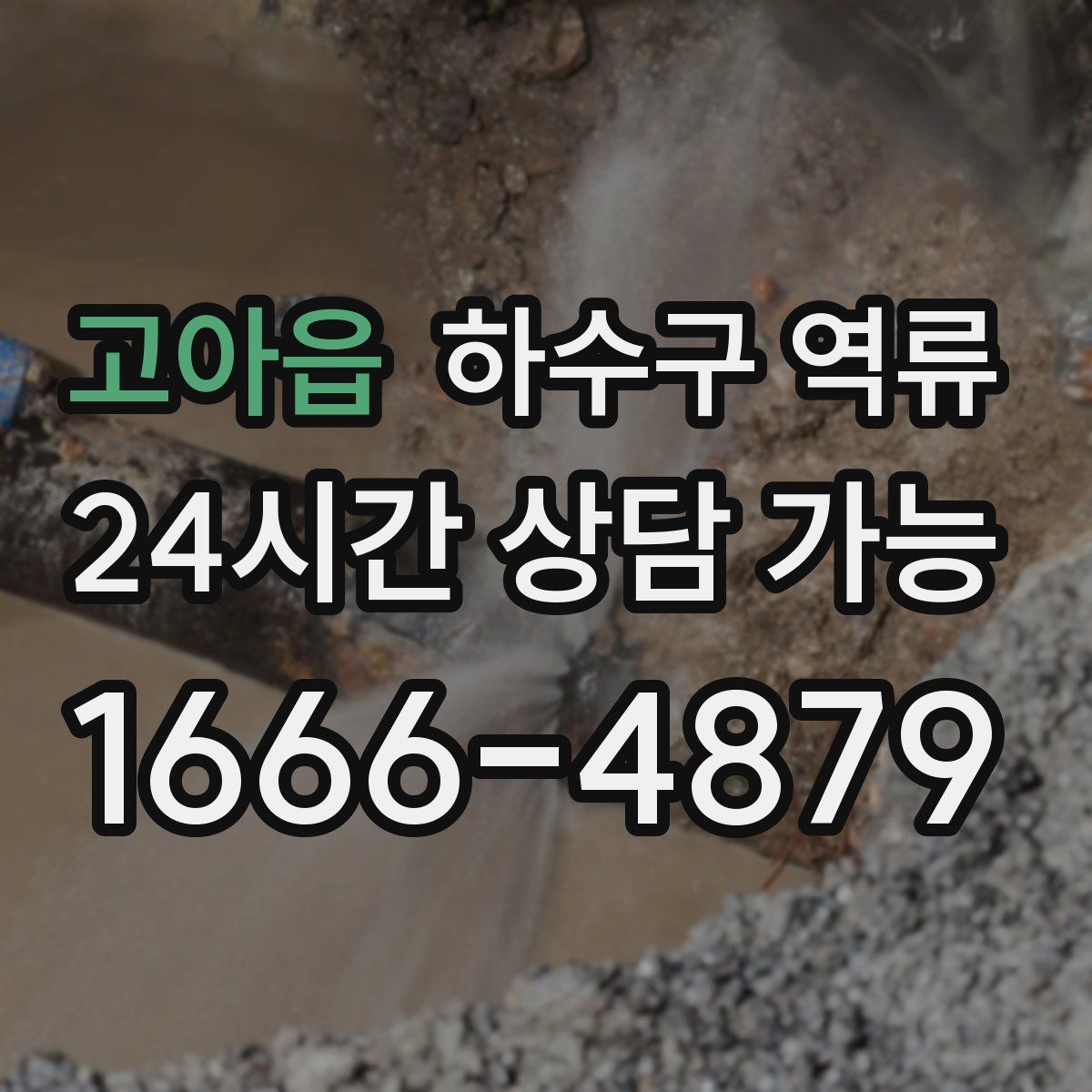 고아읍 하수구 역류