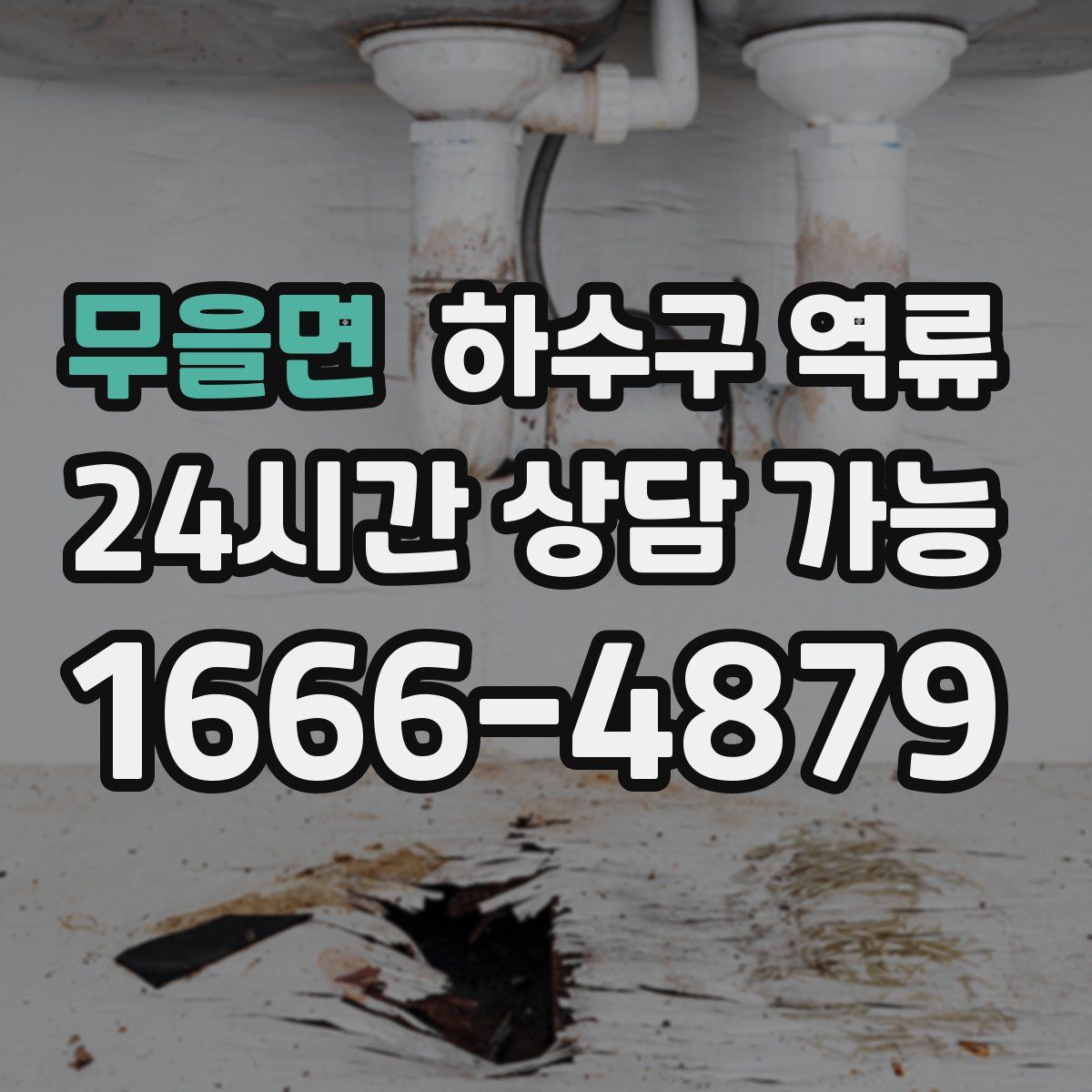 무을면 하수구 역류