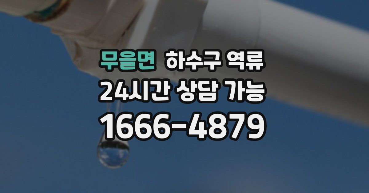 무을면 하수구 역류