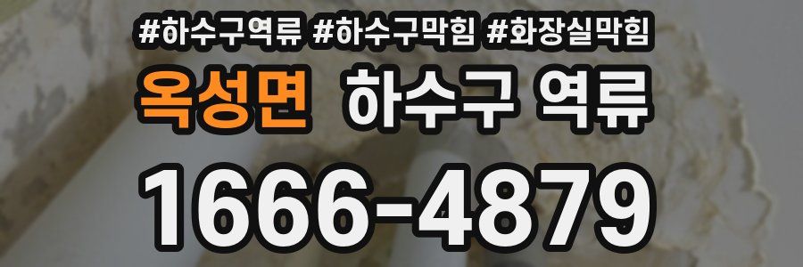 옥성면 하수구 역류