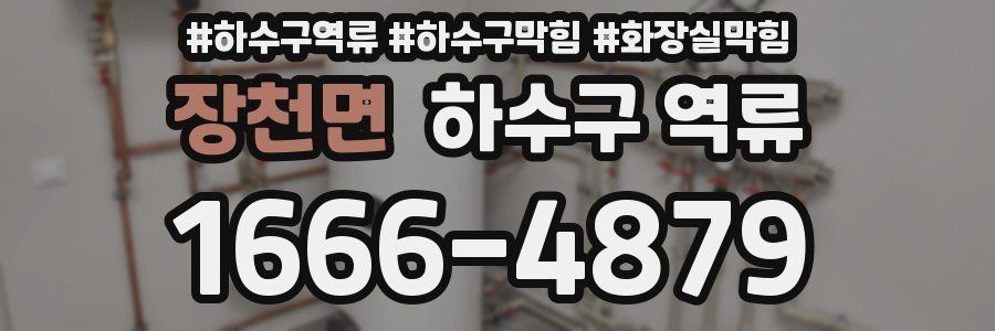 장천면 하수구 역류