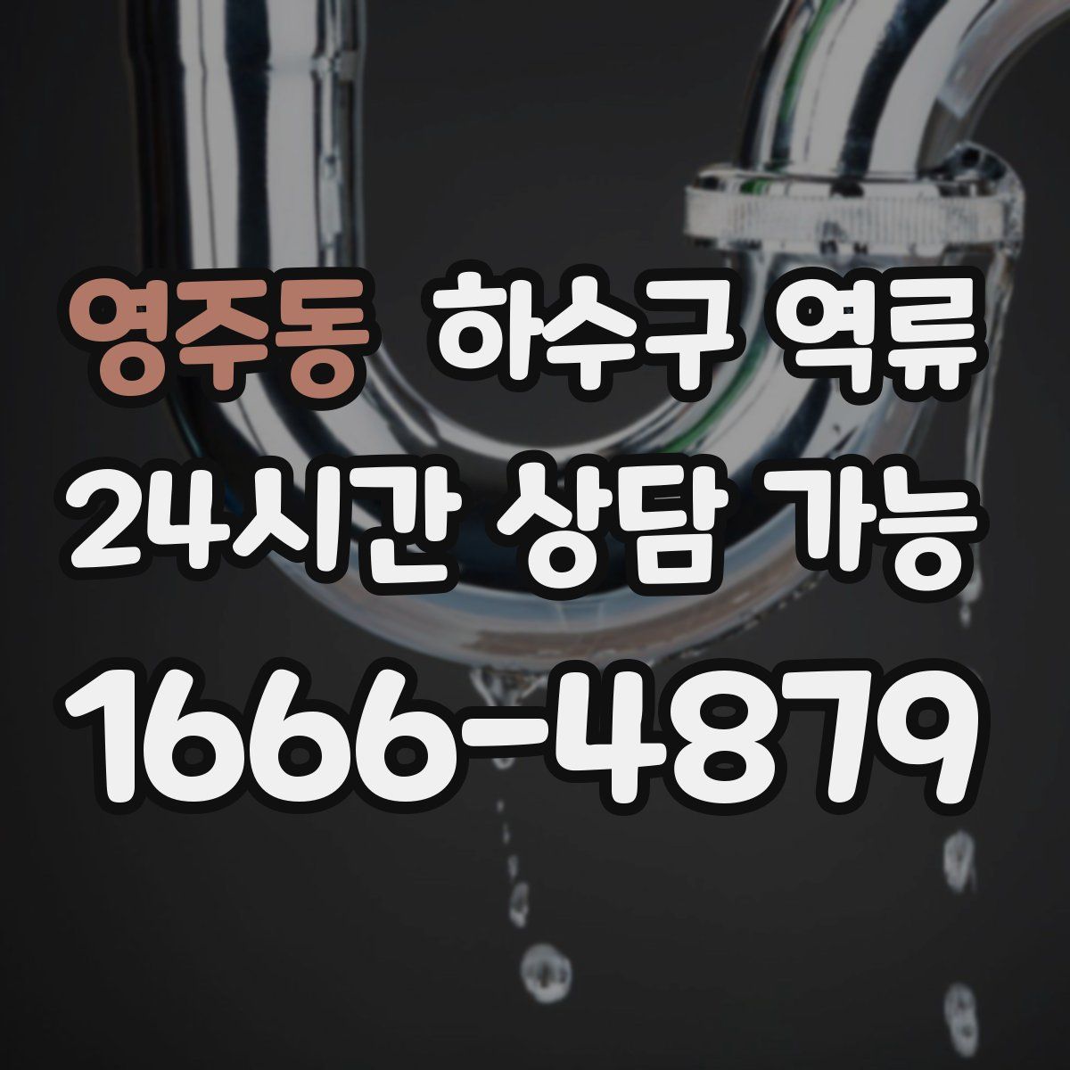 영주동 하수구 역류