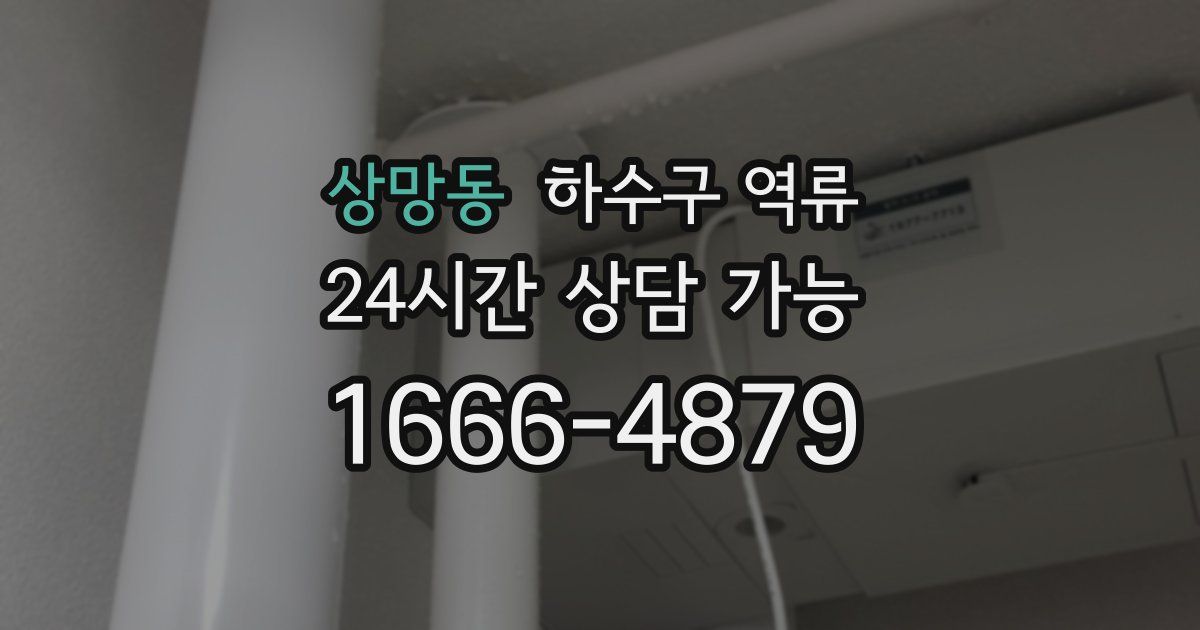 상망동 하수구 역류