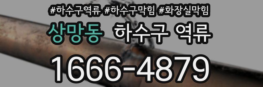 상망동 하수구 역류