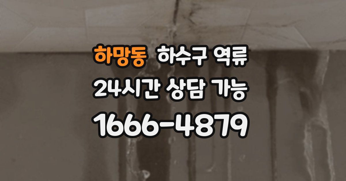 하망동 하수구 역류