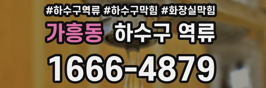 가흥동 하수구 역류