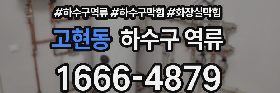 고현동 하수구 역류