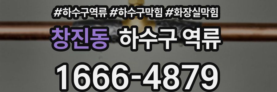 창진동 하수구 역류