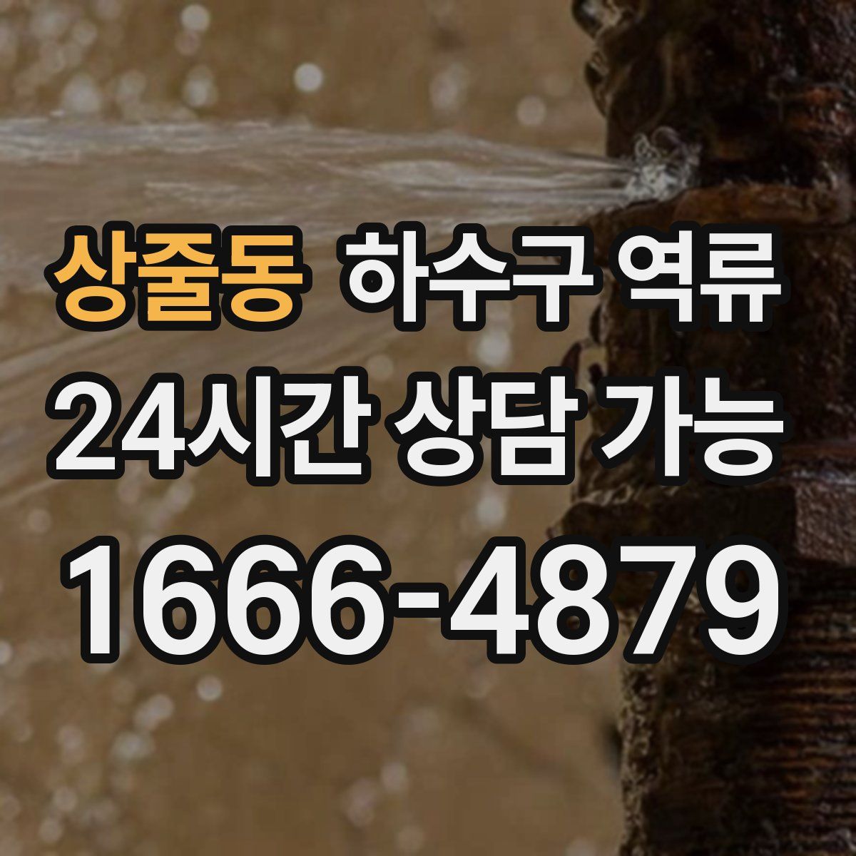 상줄동 하수구 역류