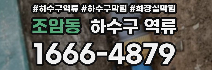 조암동 하수구 역류