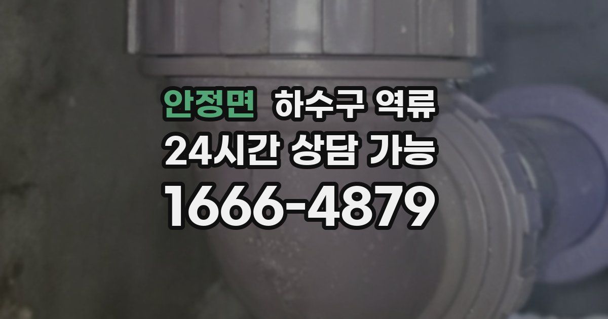 안정면 하수구 역류