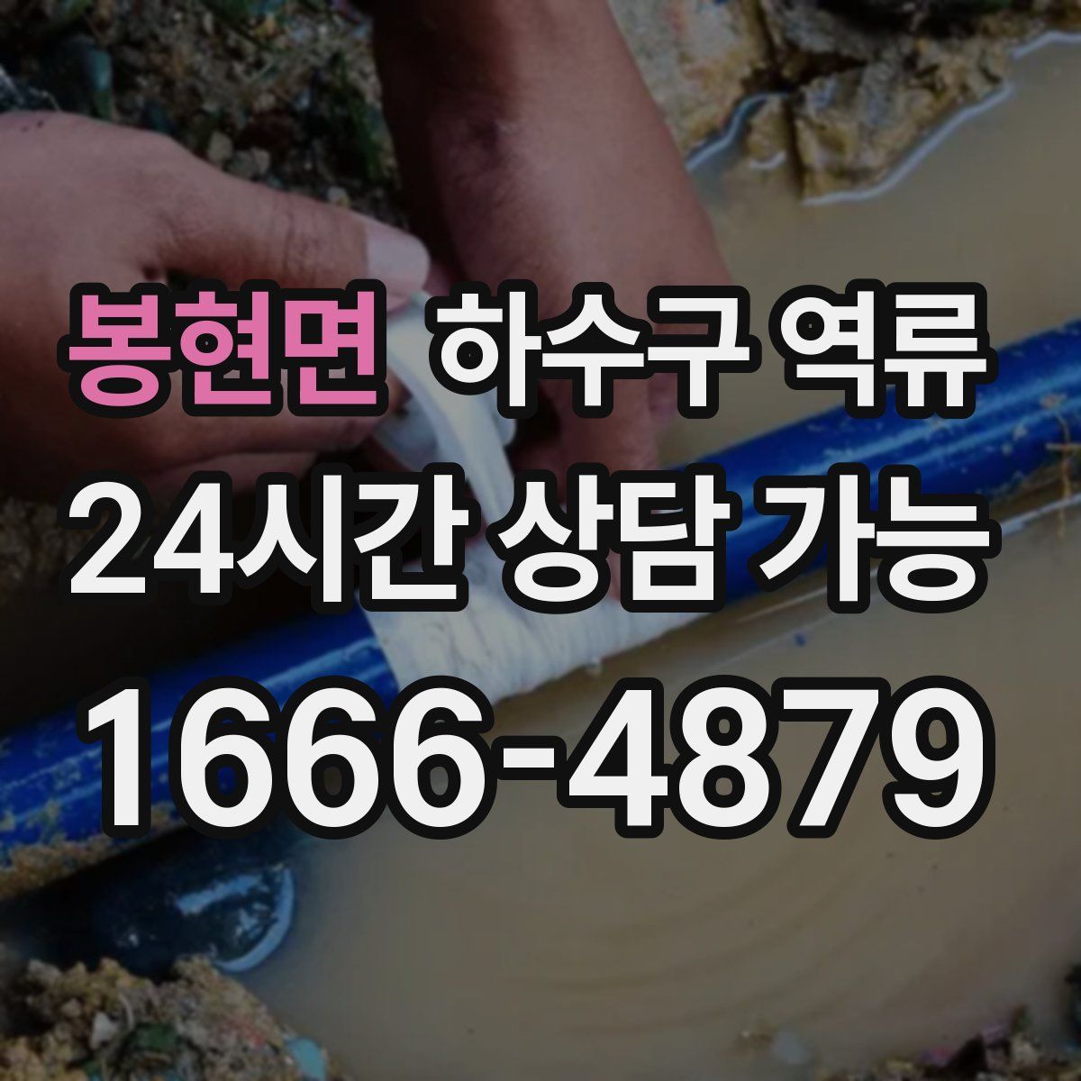 봉현면 하수구 역류