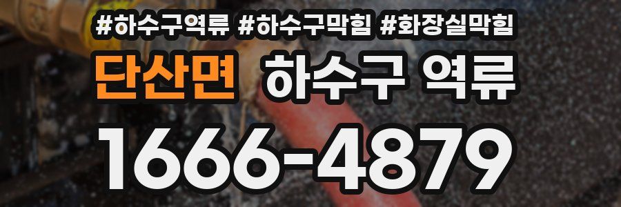 단산면 하수구 역류