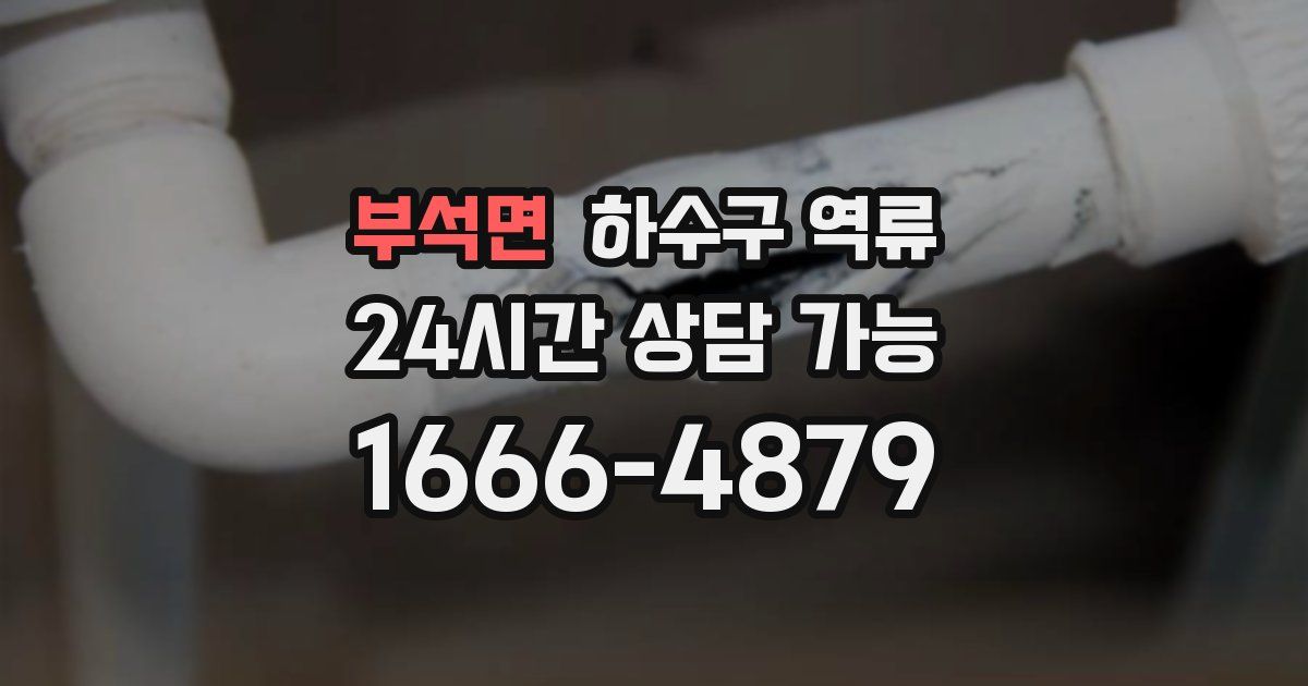 부석면 하수구 역류