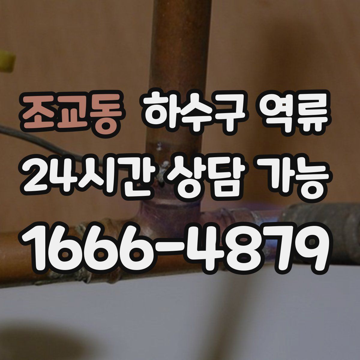 조교동 하수구 역류