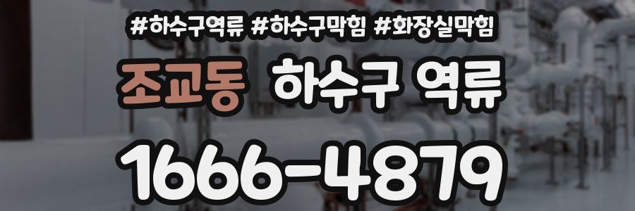 조교동 하수구 역류