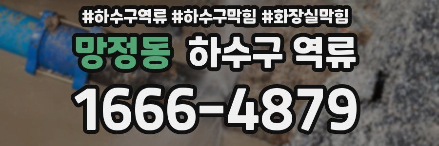 망정동 하수구 역류