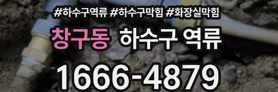 창구동 하수구 역류