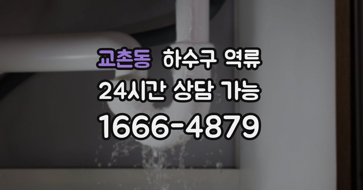 교촌동 하수구 역류