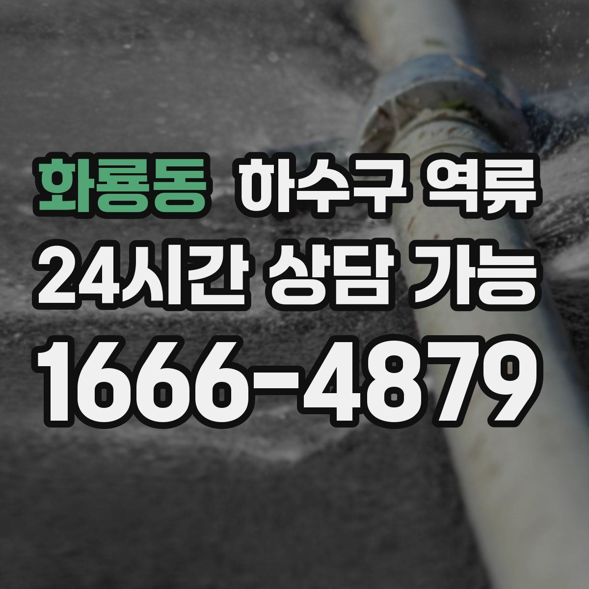 화룡동 하수구 역류