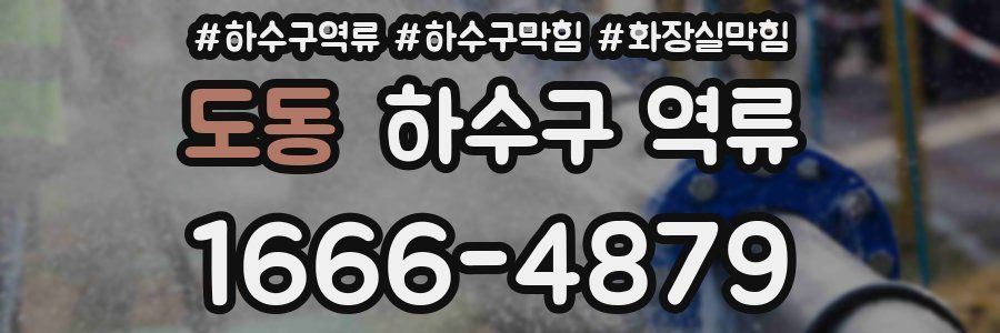도동 하수구 역류