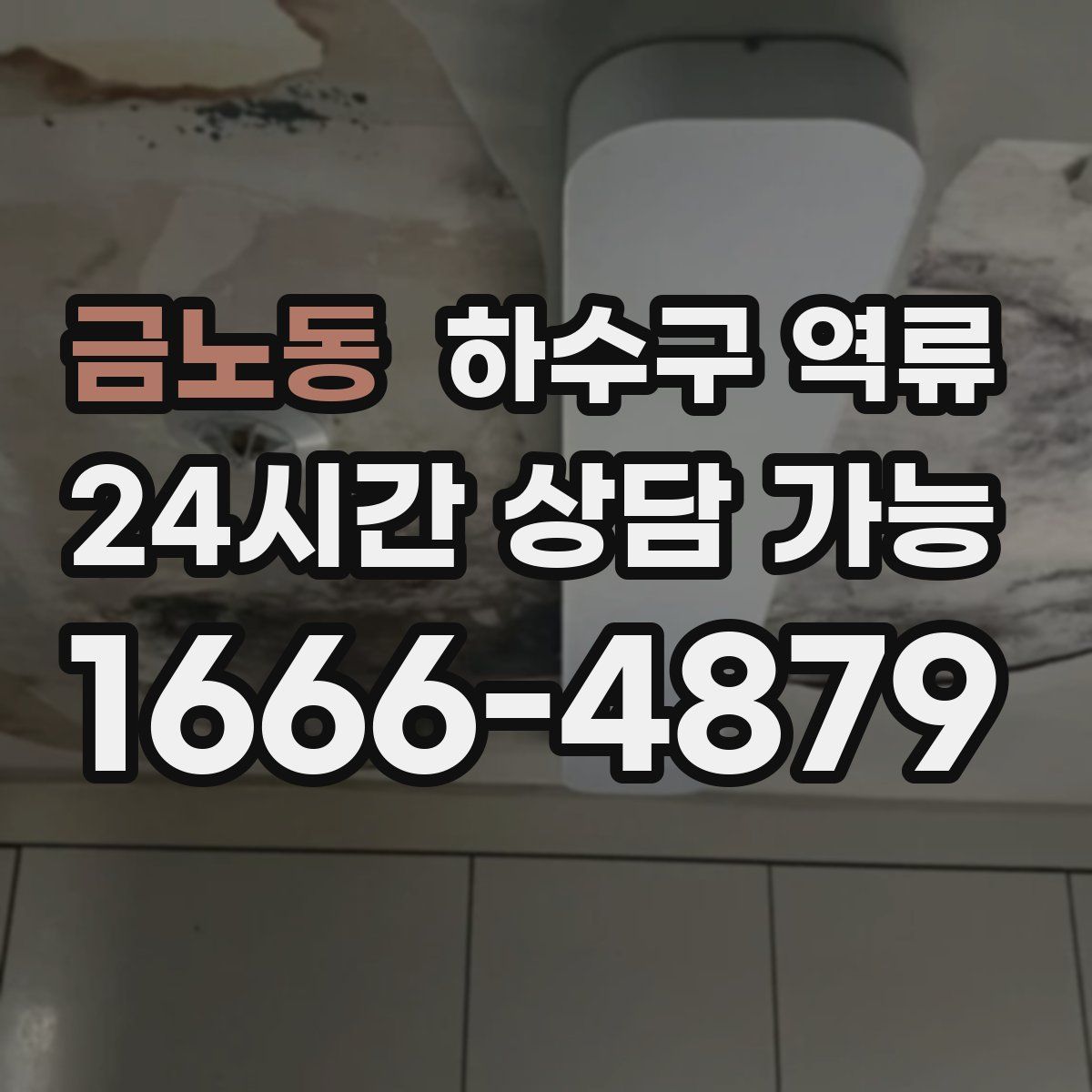 금노동 하수구 역류