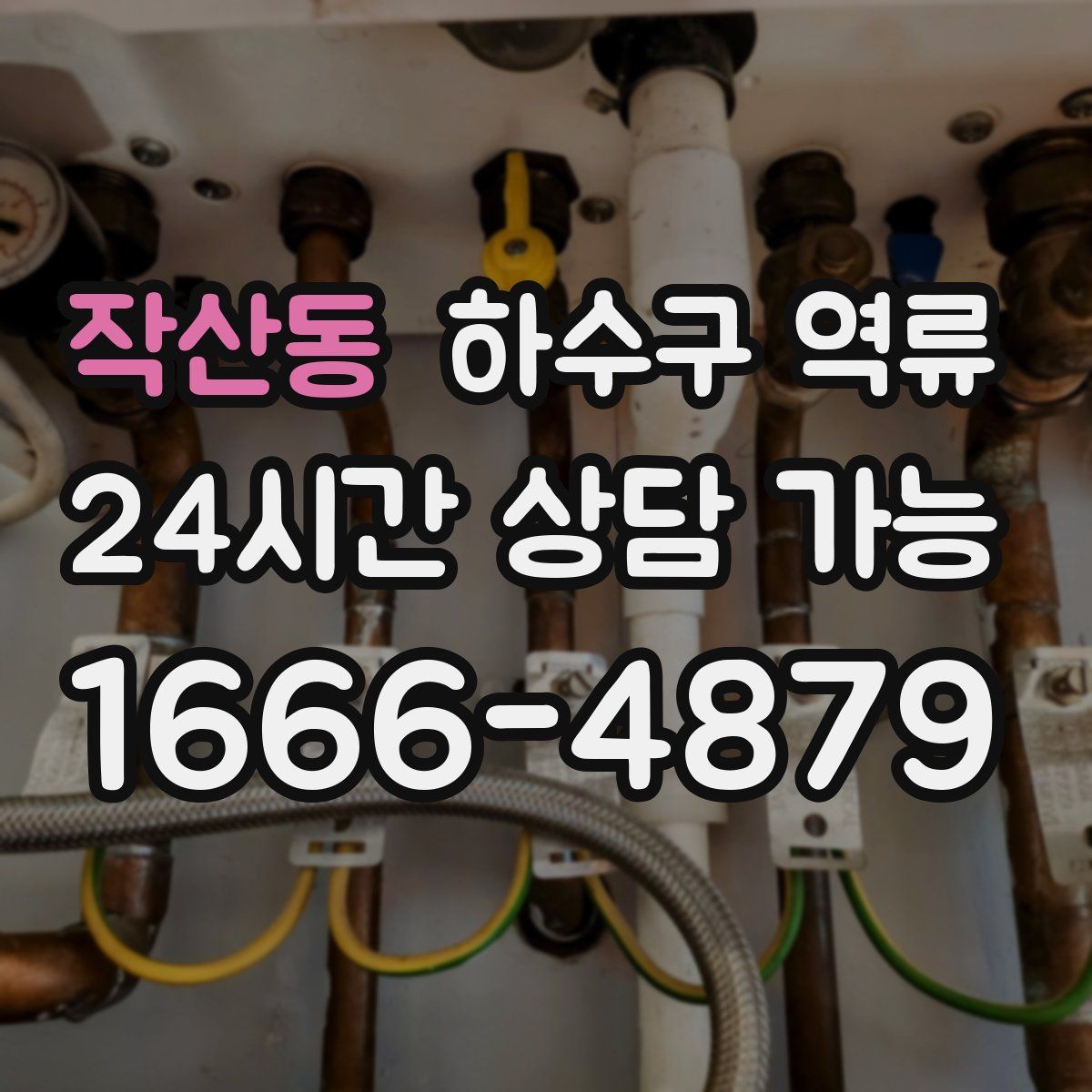 작산동 하수구 역류