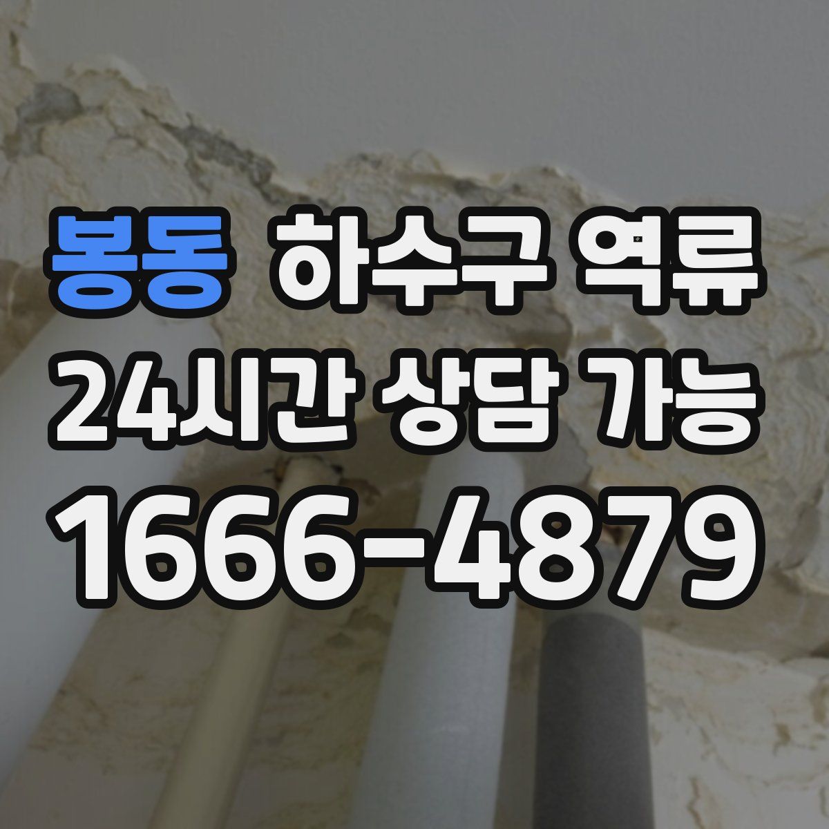 봉동 하수구 역류