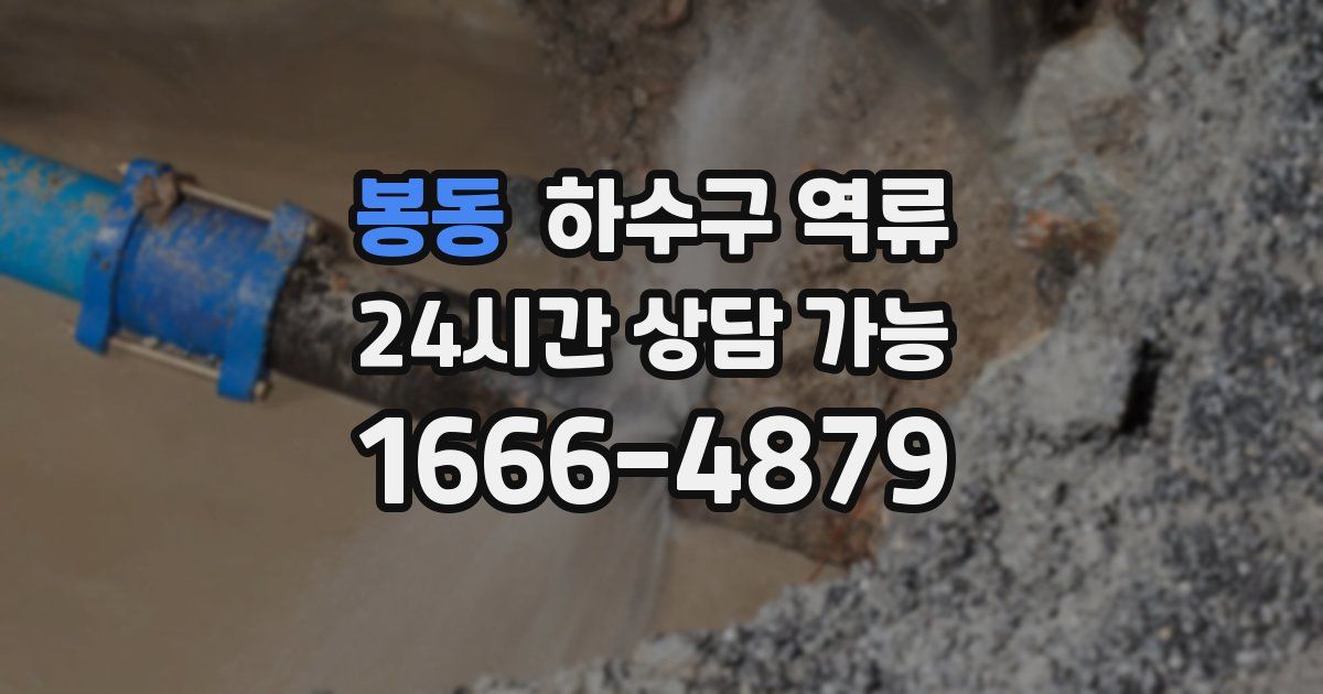 봉동 하수구 역류