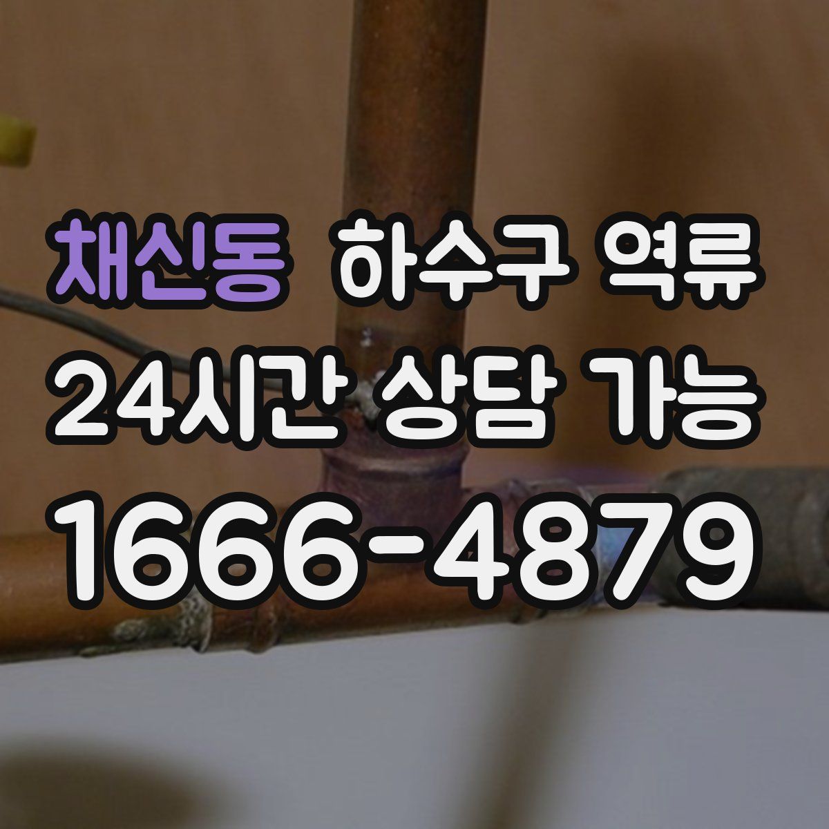 채신동 하수구 역류