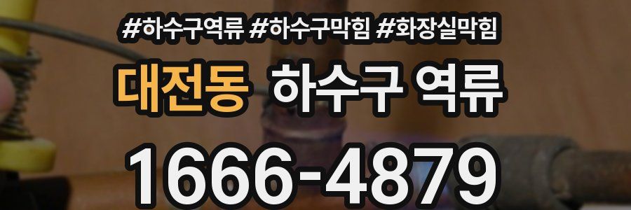 대전동 하수구 역류