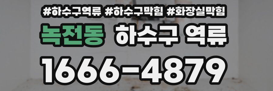 녹전동 하수구 역류